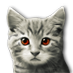 kitty_02.png