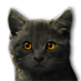 kitty_05.png